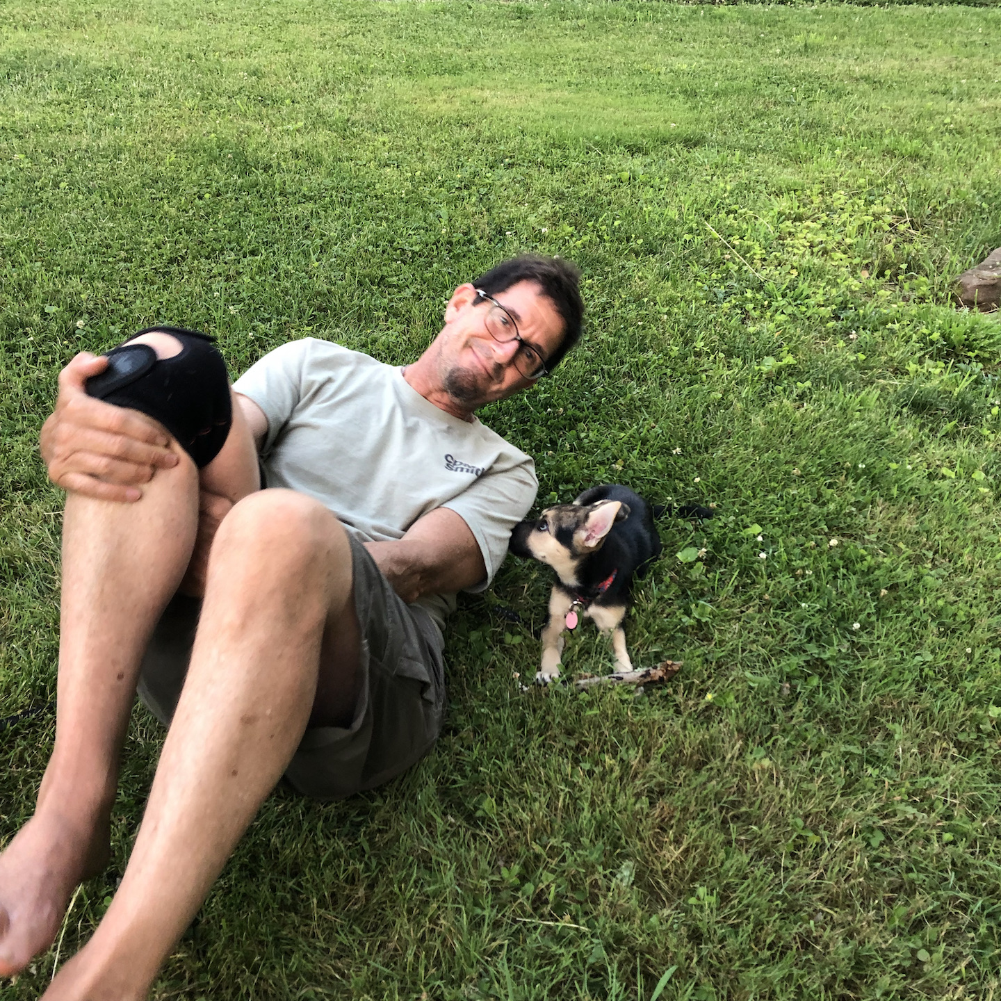 Cats, Dogs, Tomatoes & Love
